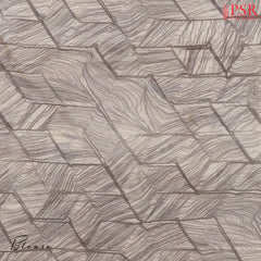 Beige Organza Saree