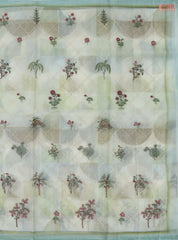 Mint & Pastel Olive Yellow Organza Saree