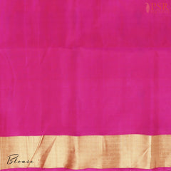 Parchment Beige Pochampally Soft Silk Saree