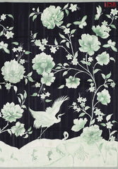 Black Semi Tussar Saree