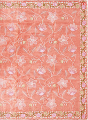 Salmon Peach Organza Embroidery Saree