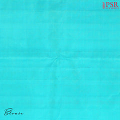 Rani Pink Kanchipuram Silk Saree