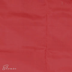 Tricolor Pochampally Soft Silk Saree