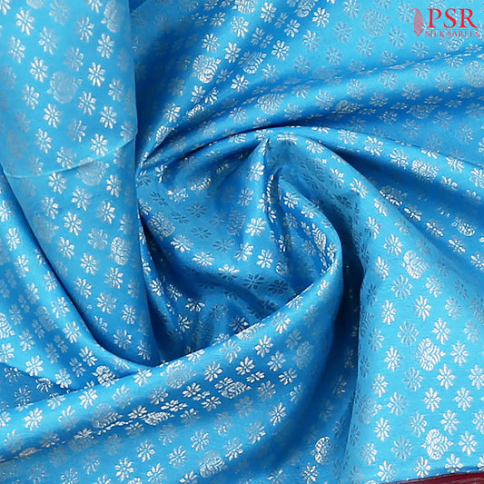 Sky Blue Kanchipuram Silk Saree