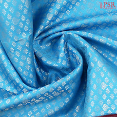 Sky Blue Kanchipuram Silk Saree