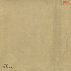 Biscotti Beige Tissue Embroidery Saree