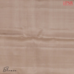 Chikoo Beige Kanchipuram Silk Saree