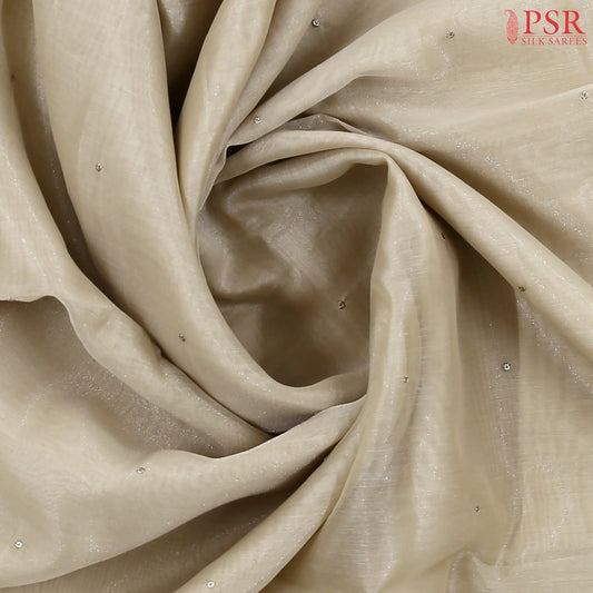 Light Biege Grey Tissue Embroidery Saree