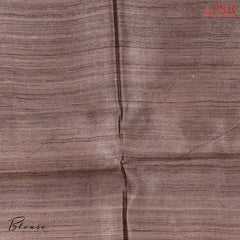 Steel Grey Kadhi Tussar Silk Saree