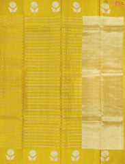 Olive Yellow Chiniya Silk Saree