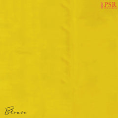 Light Beige Pochampally Silk Ikat Saree