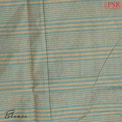 Sea Green & Tan Kovai Cotton Saree
