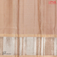 Light Salmon Pink Kanchipuram Silk Saree