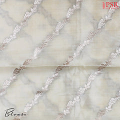 Pastel Beige Chiniya Silk Saree