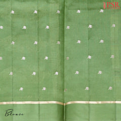 Asparagus Green Chiniya Silk Saree