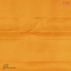 Apricot Orange Kanchipuram Silk Saree