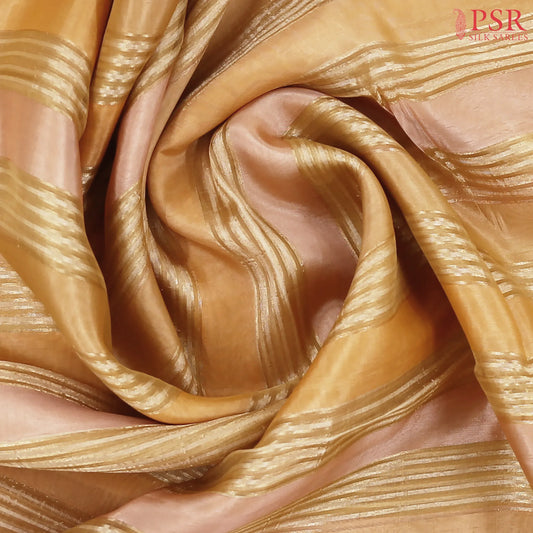 Sandstone Orange Semi Chiniya Saree