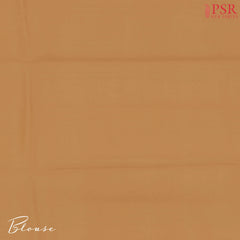 Sandstone Orange Semi Chiniya Saree