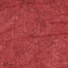 Pale Blue Chiniya Silk Saree