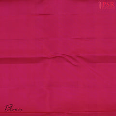 Pastel Olive Kanchipuram Silk Saree